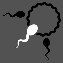 Similar image 9745304