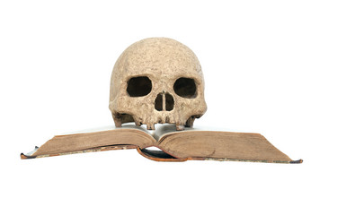 Similar image 9754776