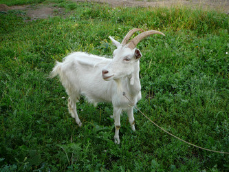 Similar image 9791846