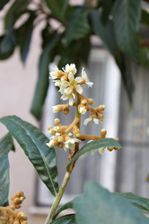 Similar image 9792968