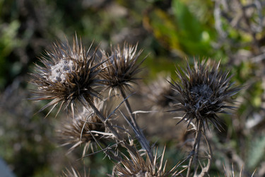 Similar image 9793153