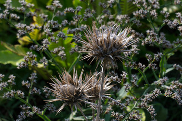 Similar image 9793222