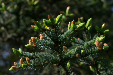 Similar image 9793226