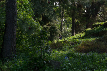 Similar image 9793231