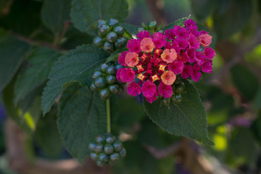 Similar image 9793367