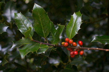 Similar image 9793378