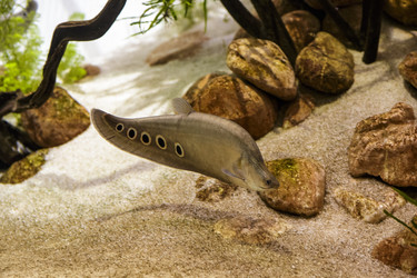 Similar image 9794233