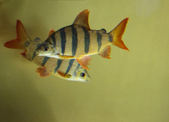 Similar image 9794238