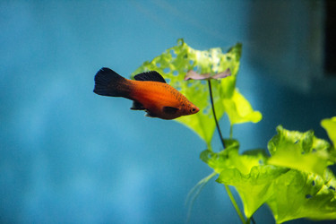 Similar image 9794241