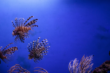 Similar image 9794249