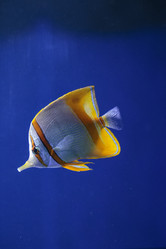 Similar image 9794254