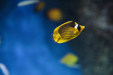 Similar image 9794257