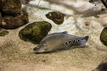 Similar image 9794261