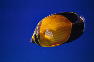 Similar image 9794263