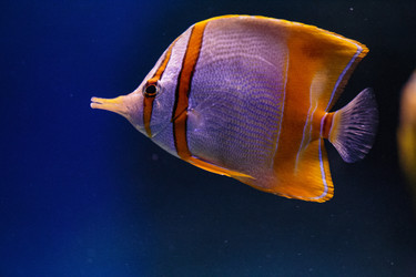 Similar image 9794266