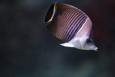 Similar image 9794268