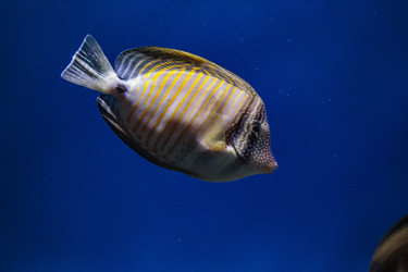 Similar image 9794271