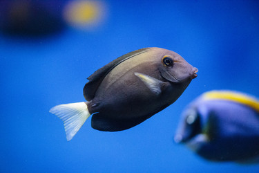 Similar image 9794276