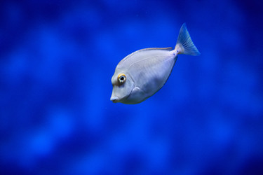 Similar image 9794314