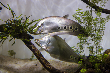 Similar image 9794316