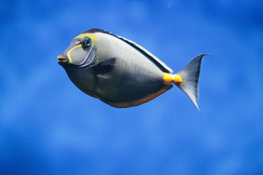 Similar image 9794321