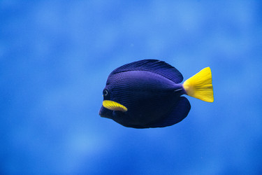 Similar image 9794324