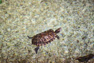 Similar image 9794326