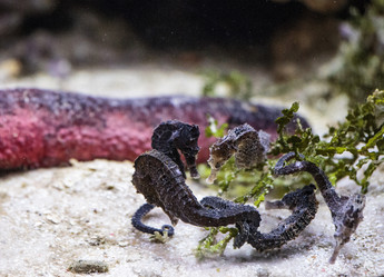 Similar image 9794328