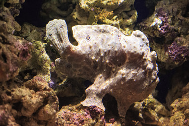 Similar image 9794330