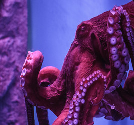 Similar image 9794333