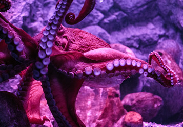 Similar image 9794335