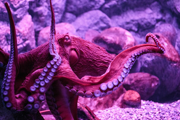 Similar image 9794337