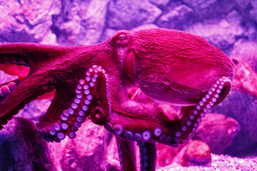 Similar image 9794339