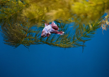 Similar image 9794342