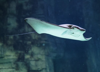 Similar image 9794344