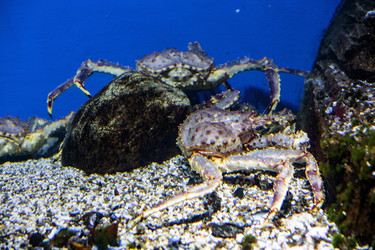 Similar image 9794346