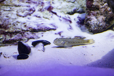 Similar image 9794350