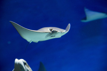 Similar image 9794352