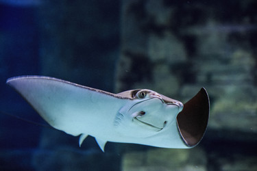 Similar image 9794354