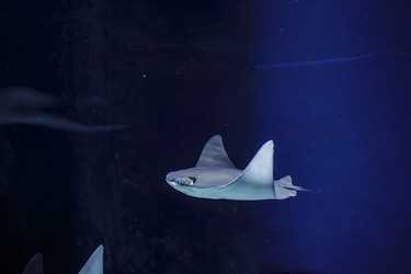 Similar image 9794356