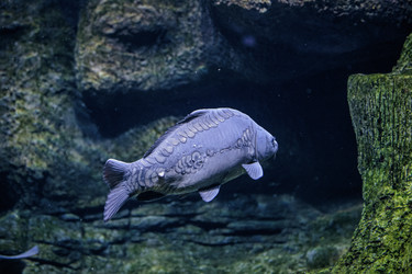 Similar image 9794366