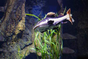 Similar image 9794370