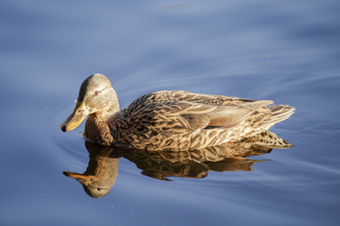 Similar image 9794396