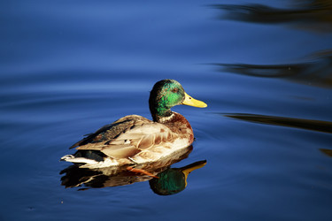 Similar image 9794398