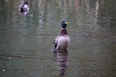 Similar image 9794400