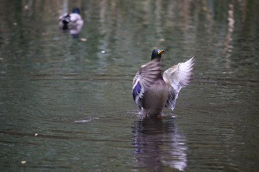 Similar image 9794404