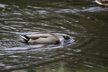 Similar image 9794495