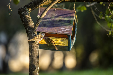 Similar image 9794505