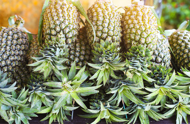 Similar image 9797070