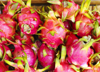 Similar image 9797073